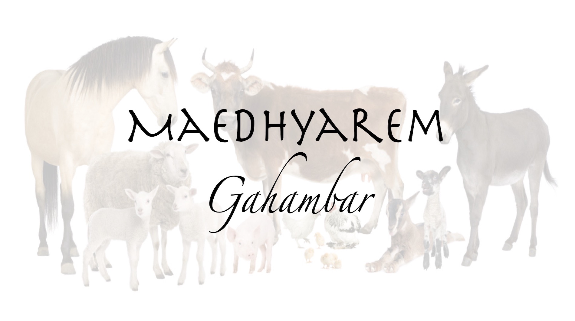Maedhyarem Gahambar